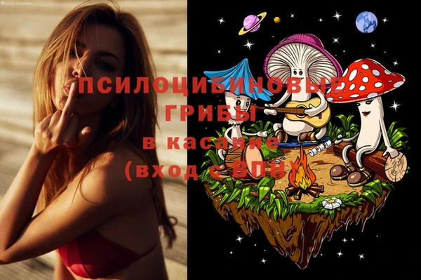 сатива Лагань