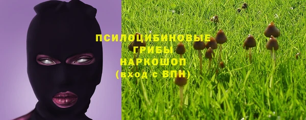 прущие грибы Кукмор