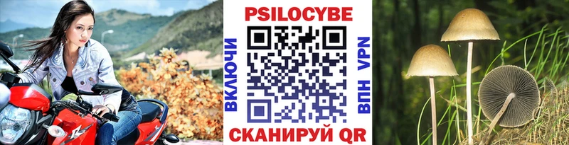 Псилоцибиновые грибы мицелий  Лиски 