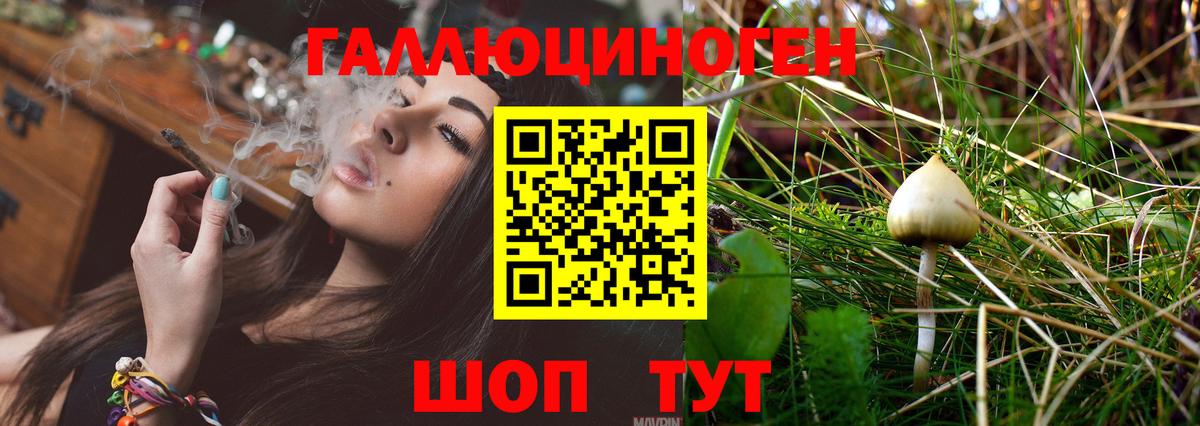 Галлюциногенные грибы Magic Shrooms Лиски